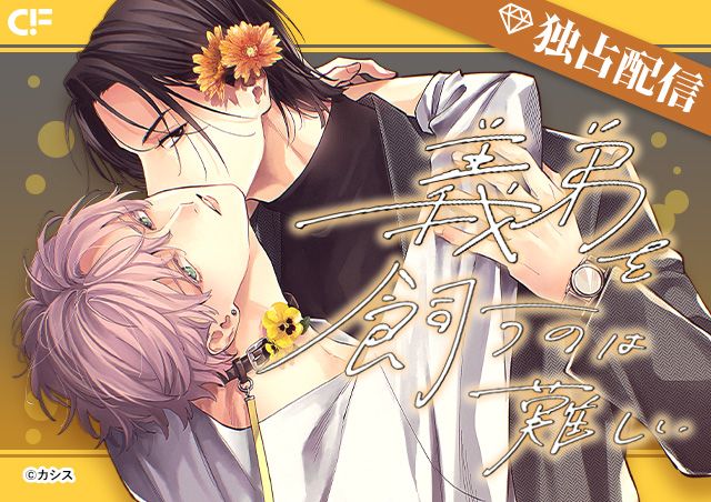carousel banner