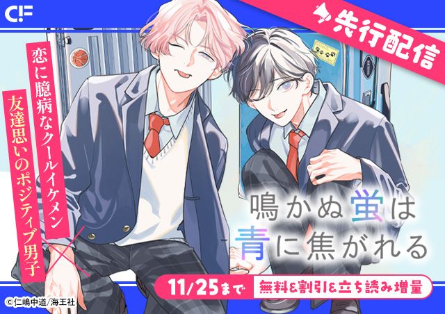 carousel banner