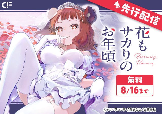 carousel banner