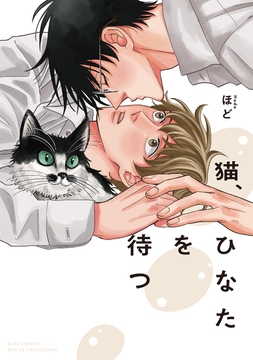 猫､ひなたを待つ_thumbnail