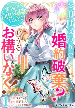 お前呼ばわりで婚約破棄?隣国で自由を謳歌するのでどうぞお構いなく!～追放令嬢､実は最強精霊師でした～お前呼ばわりで婚約破棄?隣国で自由を謳歌するのでどうぞお構いなく!～追放令嬢､実は最強精霊師でした～