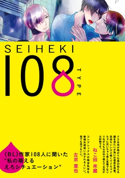 SEIHEKI 108 TYPE_thumbnail