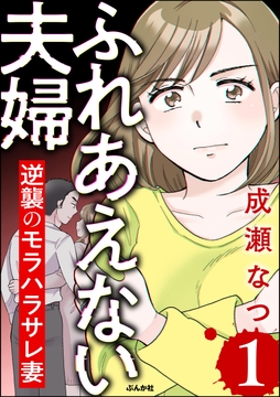 ふれあえない夫婦 逆襲のモラハラサレ妻_thumbnail