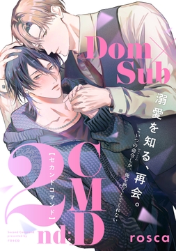 2nd:CMD-セカンドコマンド-_thumbnail