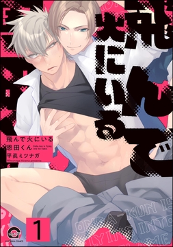 飛んで火にいる恩田くん(分冊版)