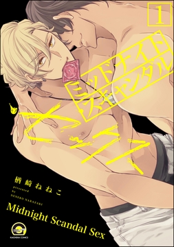 ミッドナイト･スキャンダル･セックス(分冊版)