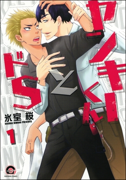 ヤンキーくんとドS(分冊版)