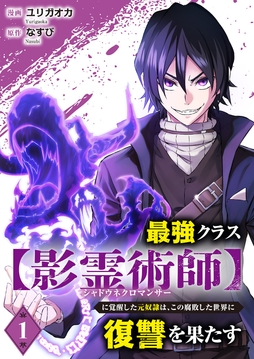 最強クラス【影霊術師】に覚醒した元奴隷は､この腐敗した世界に復讐を果たす