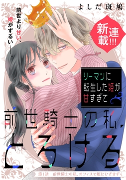 リーマンに転生した姫が甘すぎて前世騎士の私､とろける[comic tint] 分冊版