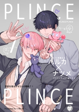 PLINCE/PLINCE