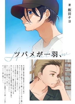 ツバメが一羽､_thumbnail