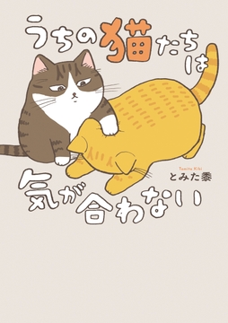うちの猫たちは気が合わない