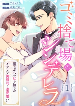 ゴミ捨て場のシンデレラ ～崖っぷちの私を拾ったイケメン御曹司と溺愛婚!?～