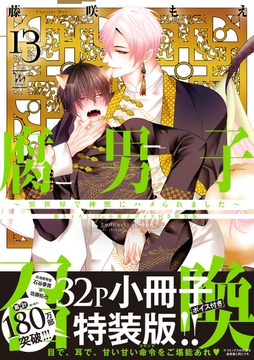 腐男子召喚～異世界で神獣にハメられました～ ： 13 【描き下ろし32p小冊子ボイス付き特装版】_thumbnail