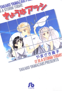 きょうはアラシ_thumbnail