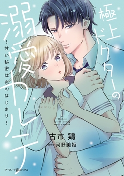 極上ドクターの溺愛カルテ～甘い秘密は恋のはじまり～