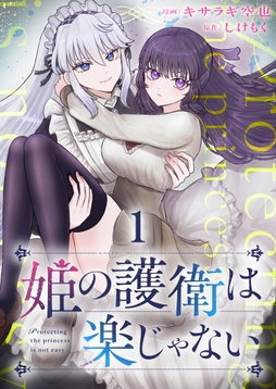 姫の護衛は楽じゃない