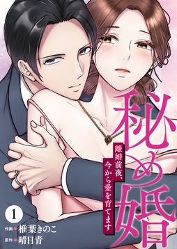秘め婚　離婚前夜、今から愛を育てます