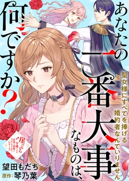 あなたの一番大事なものは、何ですか？～聖女様にすべてを捧げる婚約者なんていりません～