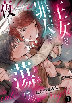 王女と罪人は夜に蕩ける_thumbnail