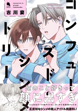 コンフューズド・シンメトリー_thumbnail