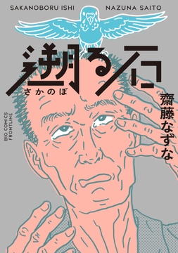 遡る石_thumbnail