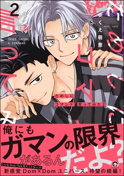 ためしにコマンド言ってみた_thumbnail