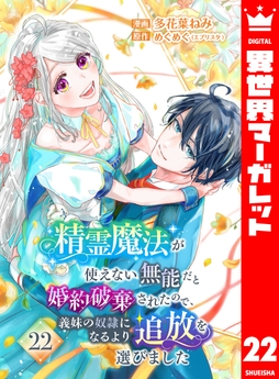 精霊魔法が使えない無能だと婚約破棄されたので､義妹の奴隷になるより追放を選びました_thumbnail