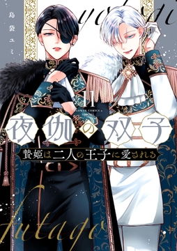 夜伽の双子―贄姫は二人の王子に愛される―_thumbnail