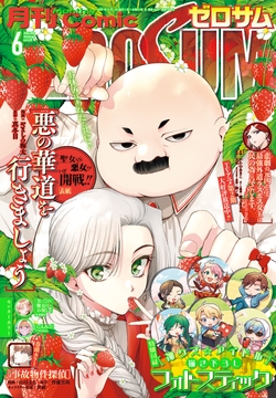 Comic ZERO-SUM (コミック ゼロサム)