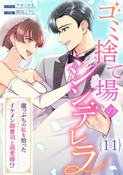 ゴミ捨て場のシンデレラ ～崖っぷちの私を拾ったイケメン御曹司と溺愛婚!?～