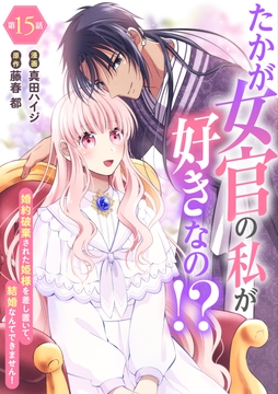 たかが女官の私が好きなの!? 婚約破棄された姫様を差し置いて、結婚なんてできません!_thumbnail