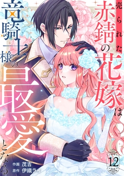売られた赤錆の花嫁は竜騎士様の最愛となる_thumbnail