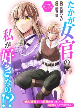 たかが女官の私が好きなの!? 婚約破棄された姫様を差し置いて､結婚なんてできません!_thumbnail