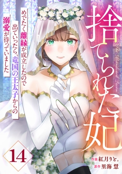 Berry's Fantasy 捨てられた妃 めでたく離縁が成立したので出ていったら､竜国の王太子からの溺愛が待っていました(分冊版)