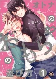 オトナのおもちゃの遊び方(分冊版)_thumbnail